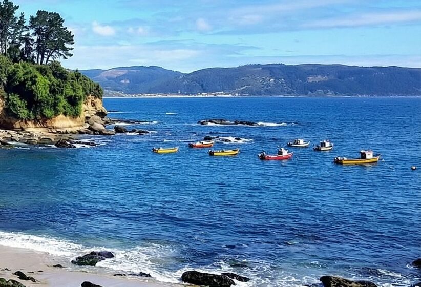 Caleta de Cocholgüe con botes de pescadores