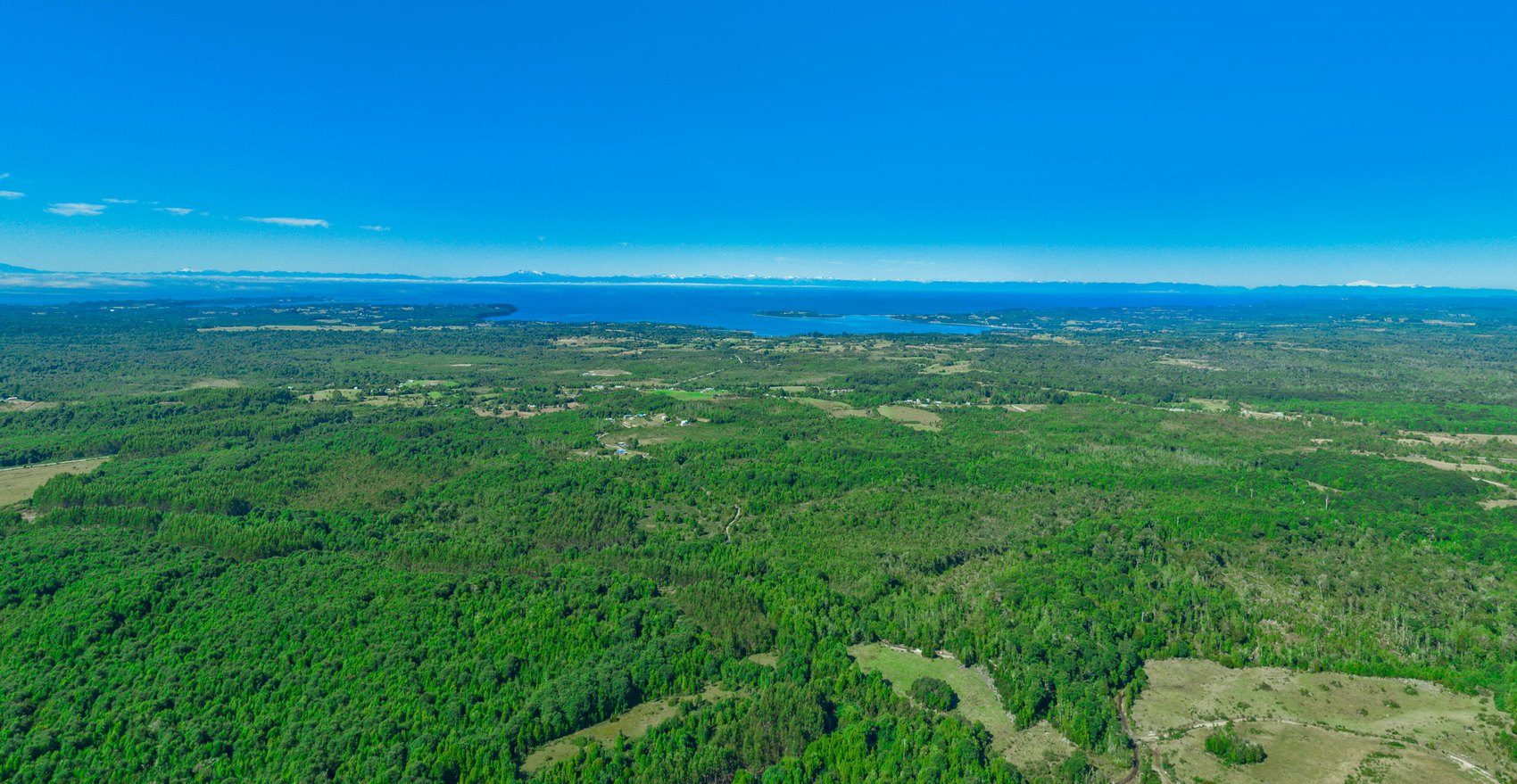 El norte de Chiloé desde el dron: bosque, praderas y el mar al fondo